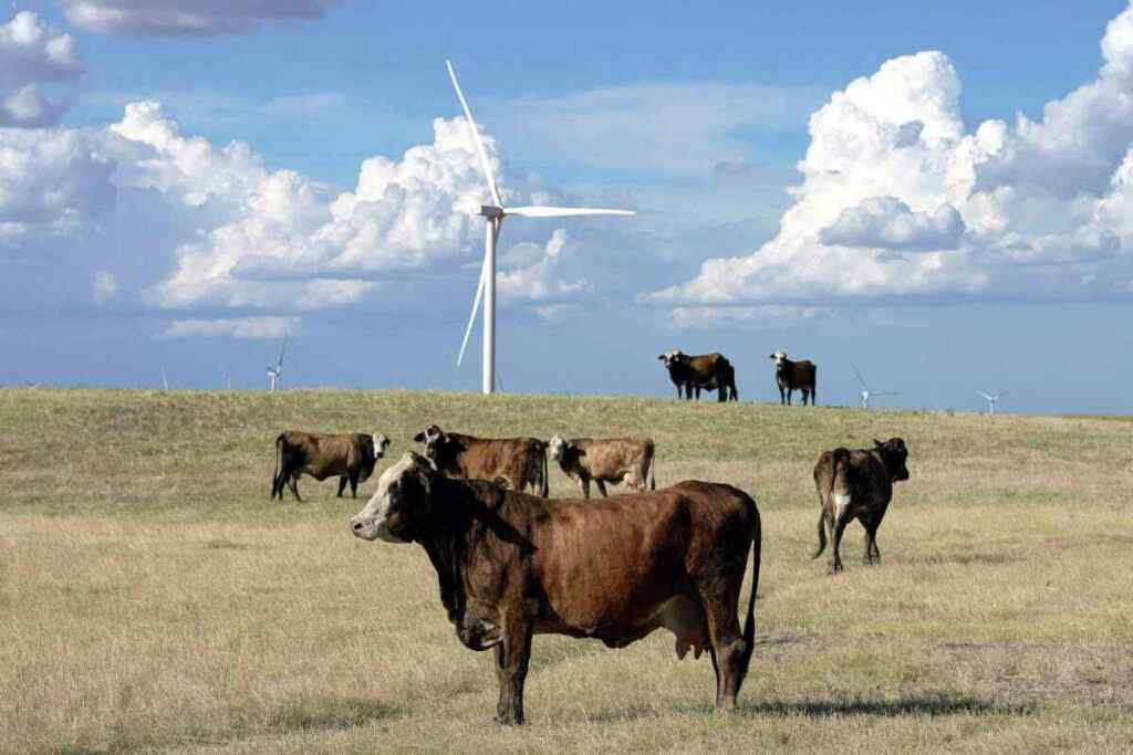 Renewal Energy Money to Blue Counties While Urban Residents Pay High Electricity Prices Renewal Energy Money to Blue Counties While Urban Residents Pay High Electricity Prices